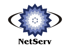 netserv_logo_transparent_final